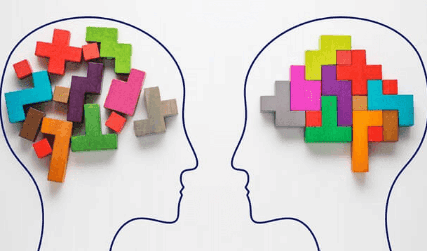 نقش محیط بر مهارت آموزی دانشآموزان