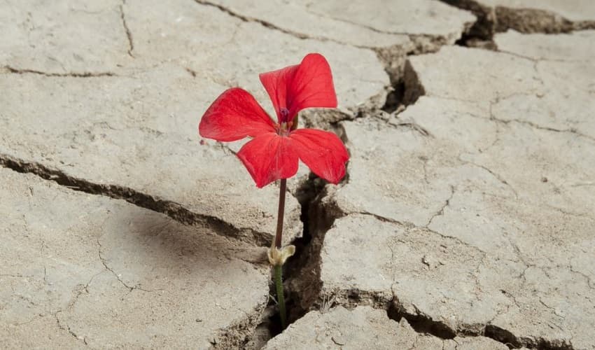 نقش تعهد برای رسیدن به اهداف